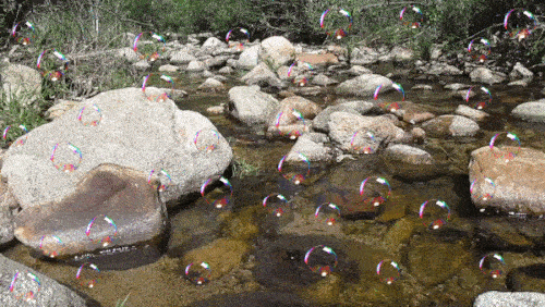 bubbles animated gif