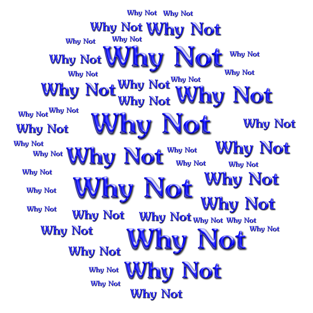 whynot.png