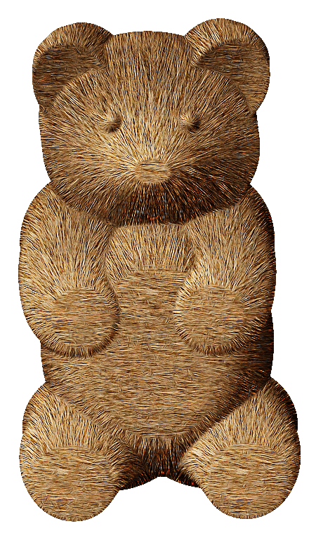 bear.png