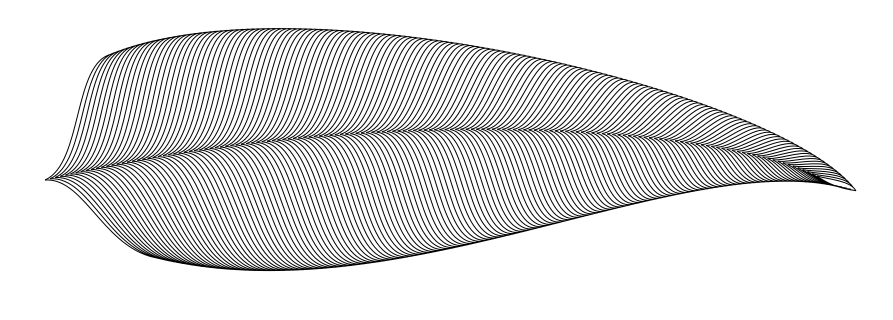 FeatherPath.png