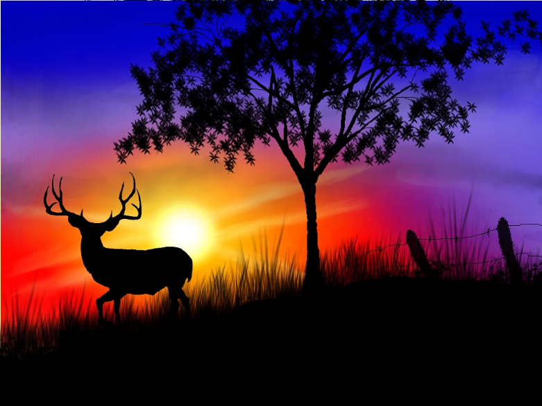 Earlymorningbuck.jpg