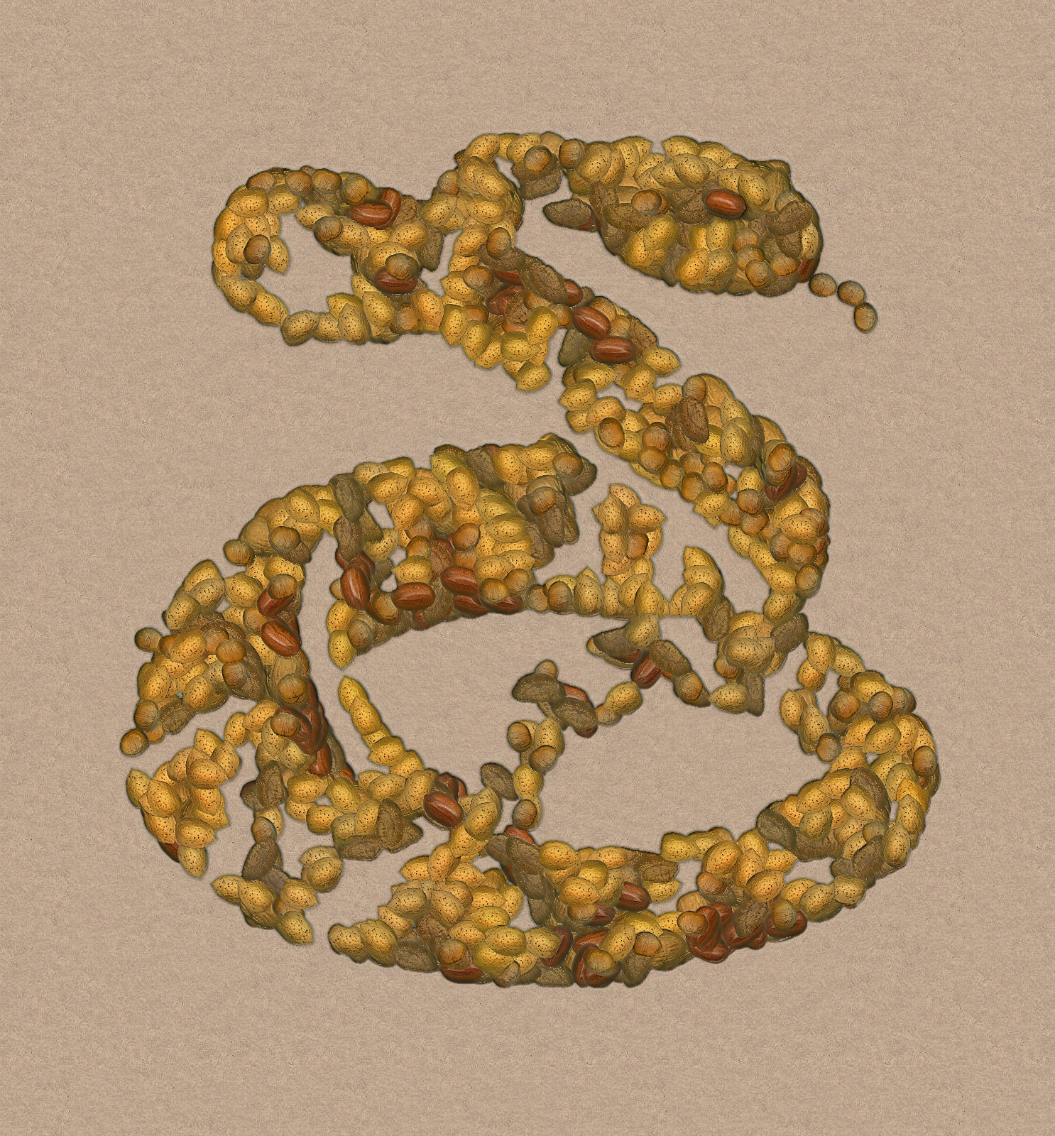 2_rattle_snake_DAP_Nuts.jpg