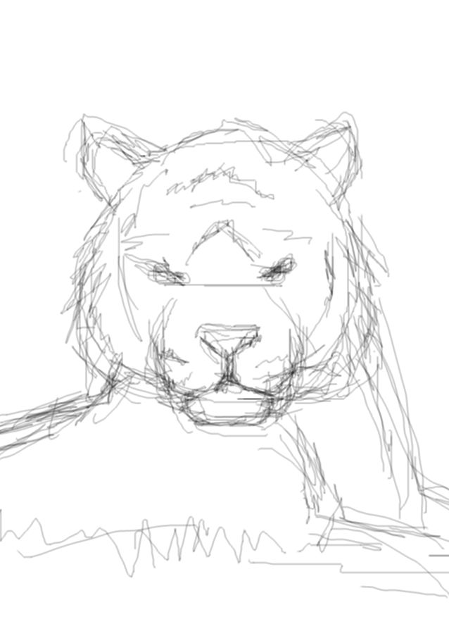 tiger_painting_sketch.jpeg