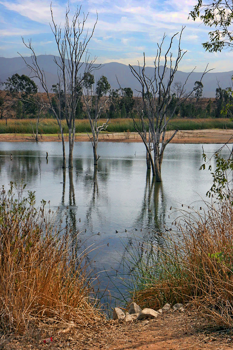 fp112708-41_HDR.jpg