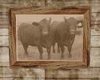 old cowpic100x80.jpg