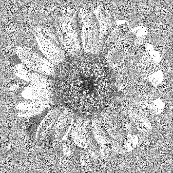 flower2.png