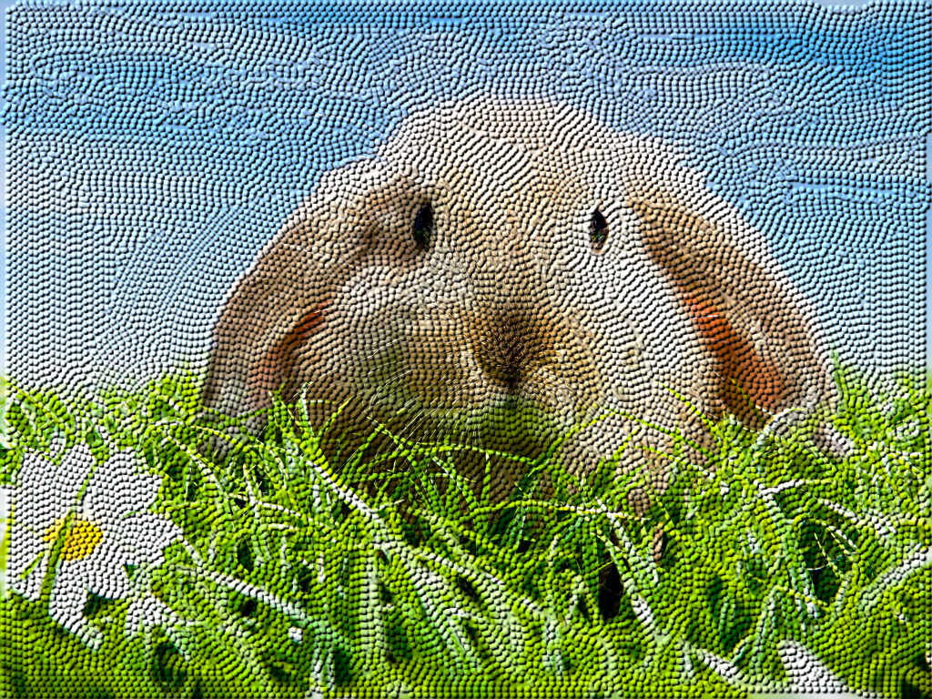 rabit-dots.jpg