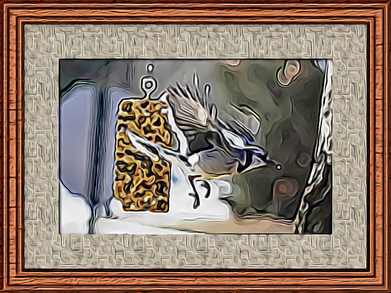 Colorful Frames Wildlife Poetry.jpg