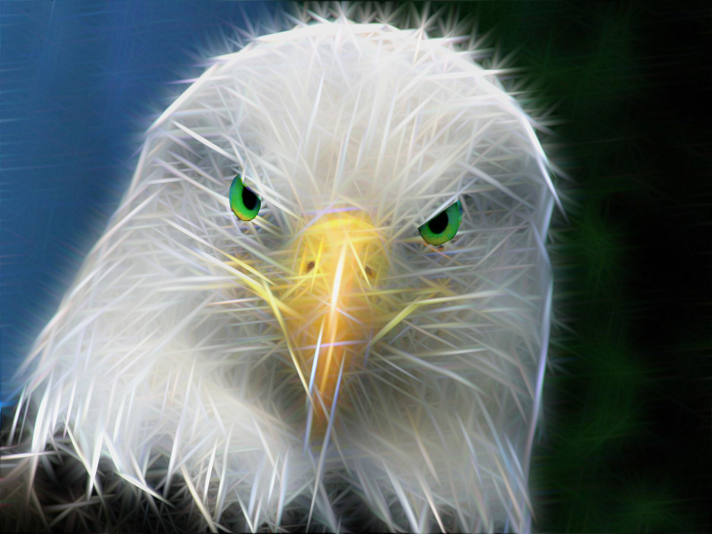 aguila2.jpg