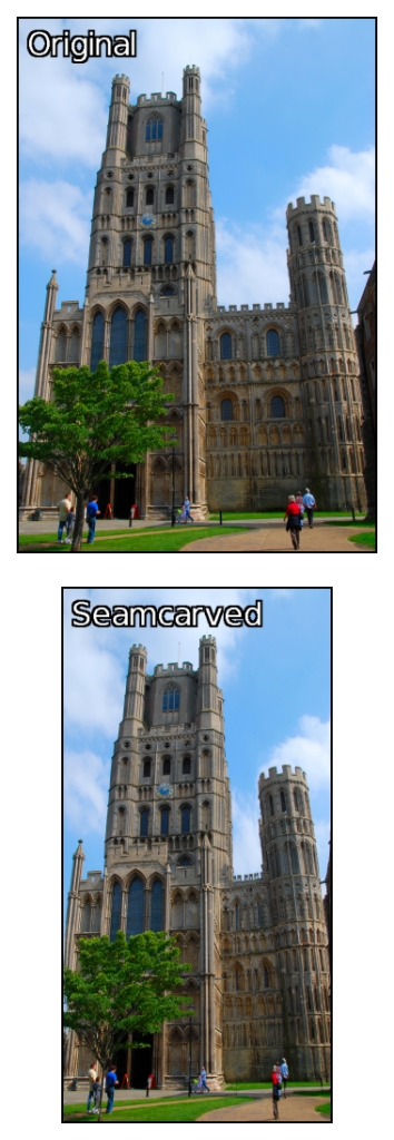 tower_all.jpg