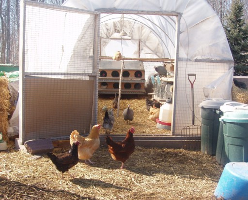 chicken house 2003.jpg