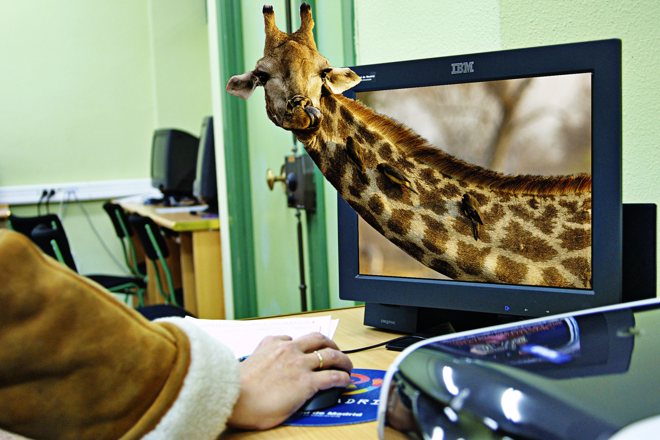 girafa-3d.jpg