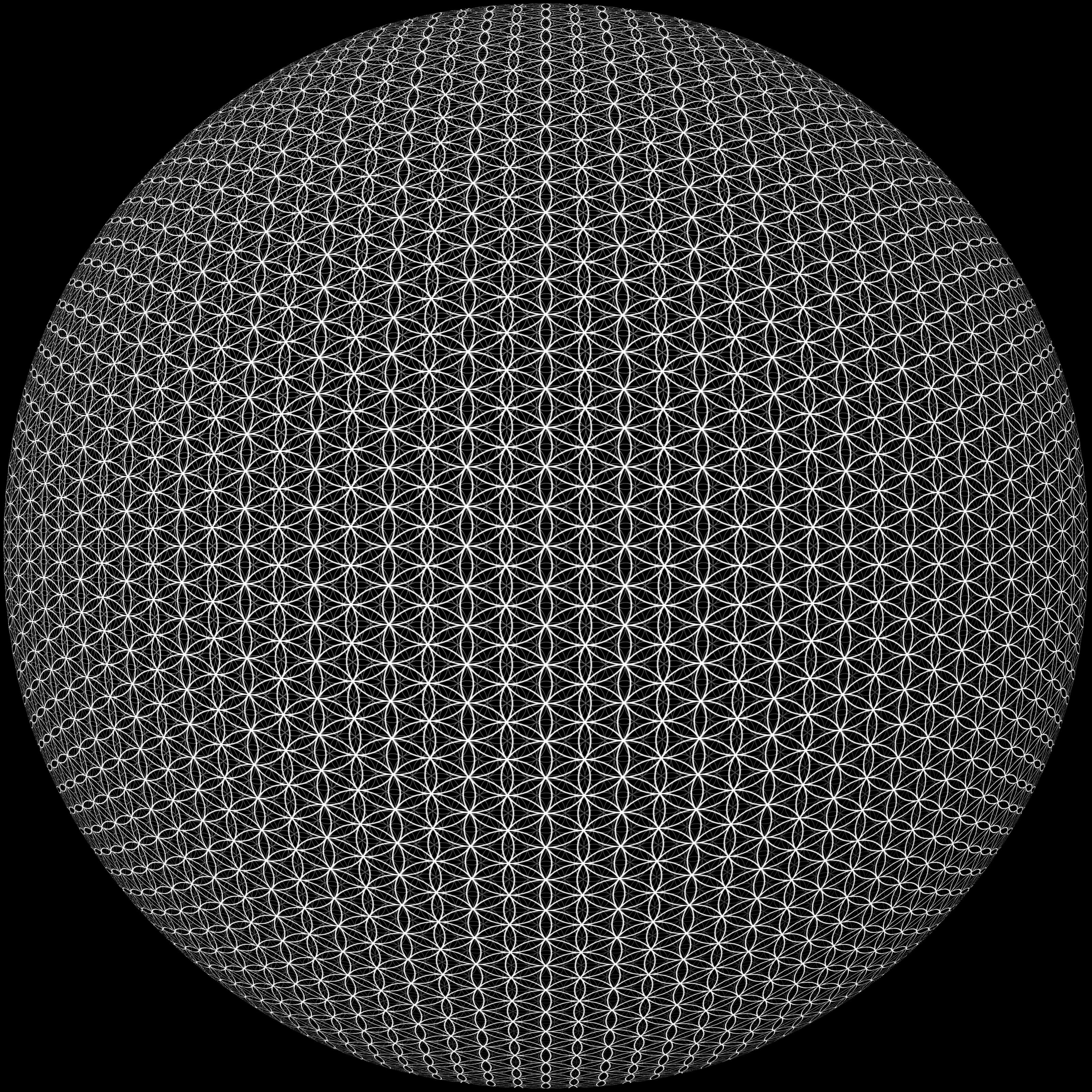 flower_globe.jpg
