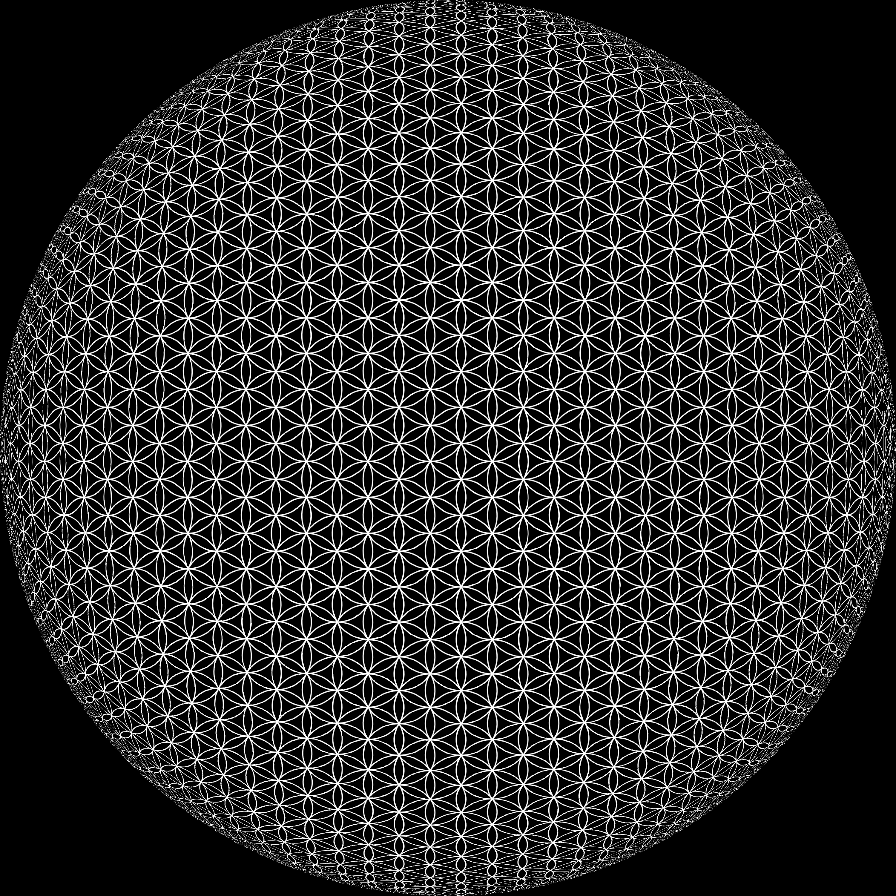 flower_of_life-globe.png