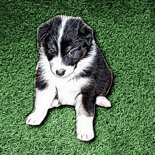 Rebecca S. pup1a.png