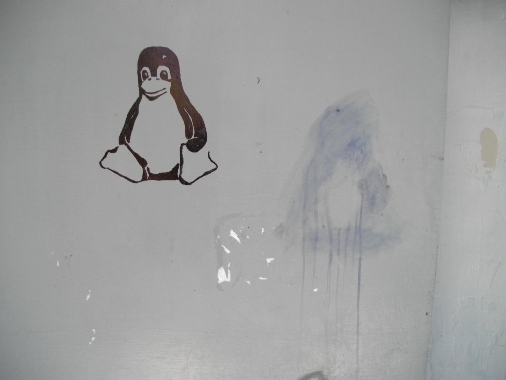 IMGP4384.JPG