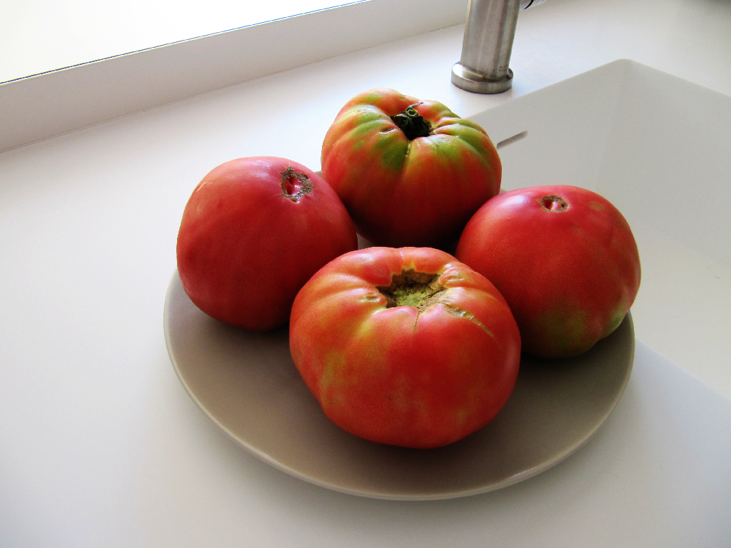 tomatoes.JPG
