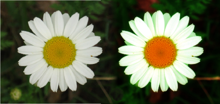 Max.RGB+gaussian.jpg