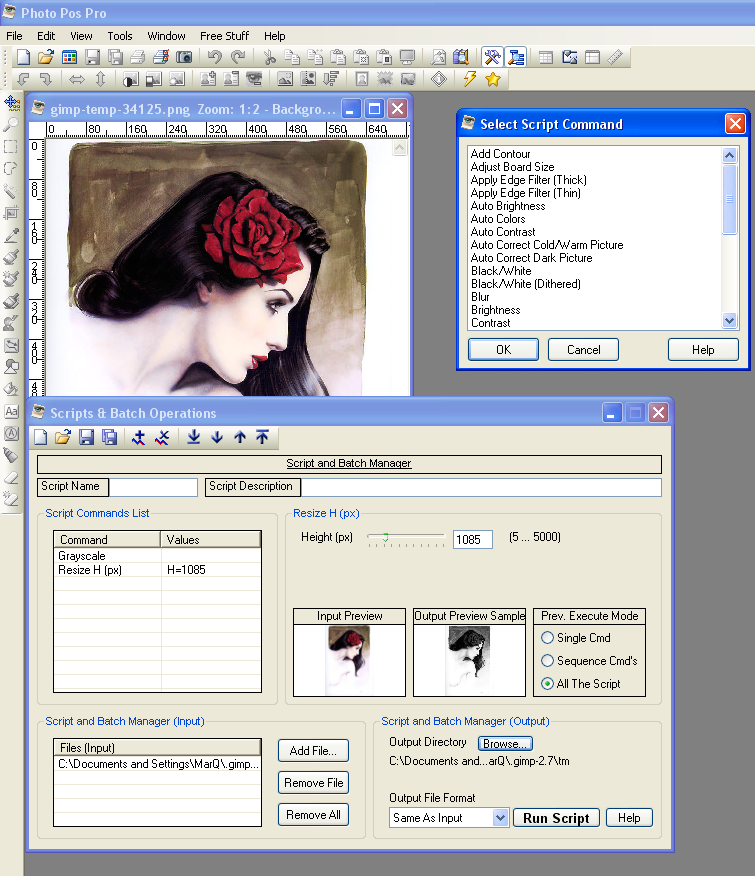 Photo Pos Pro.png