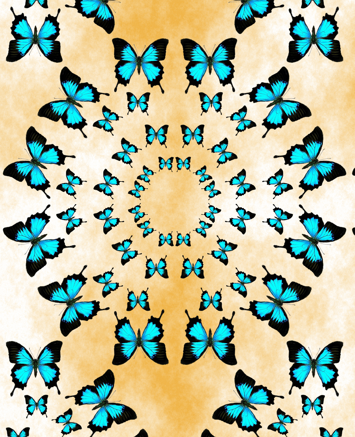butterflies-p6m.jpg
