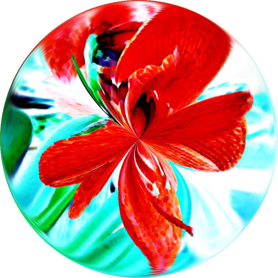 LightProbe-flower.png