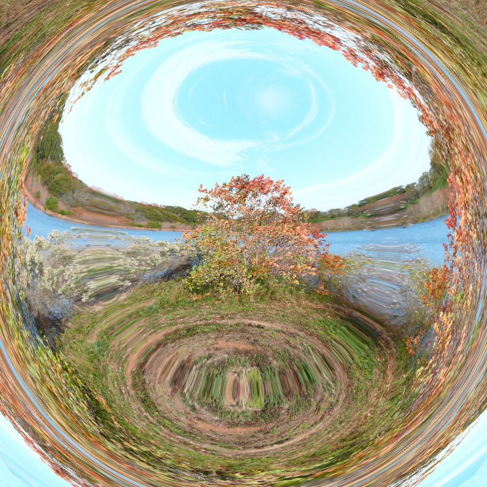 L1000040twist.jpg