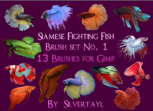 SFF Brush Set 1, 1-13 Jpeg image.jpeg