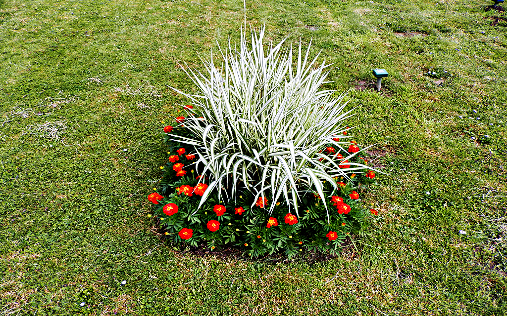 Garden2-enhancement.png