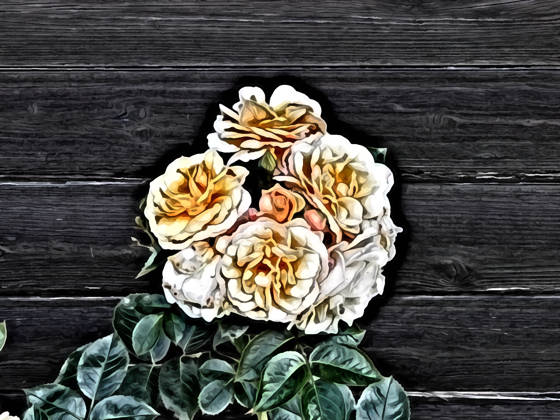 rose2.png