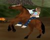 blood bay horse furn100x80.jpg