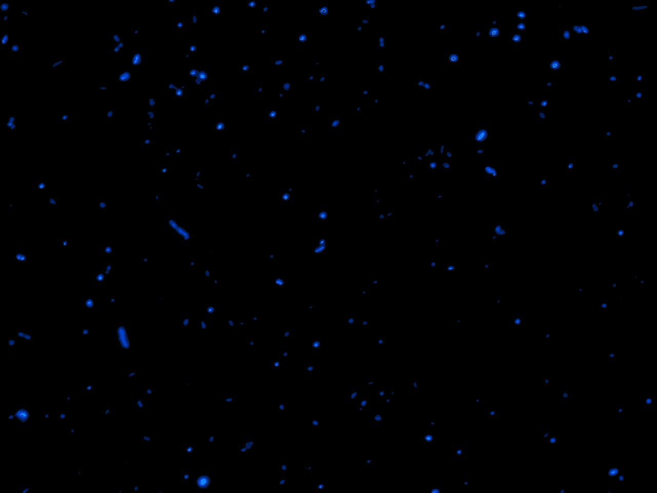 Bacteria-ColorIndex16+EditColorMap.jpg