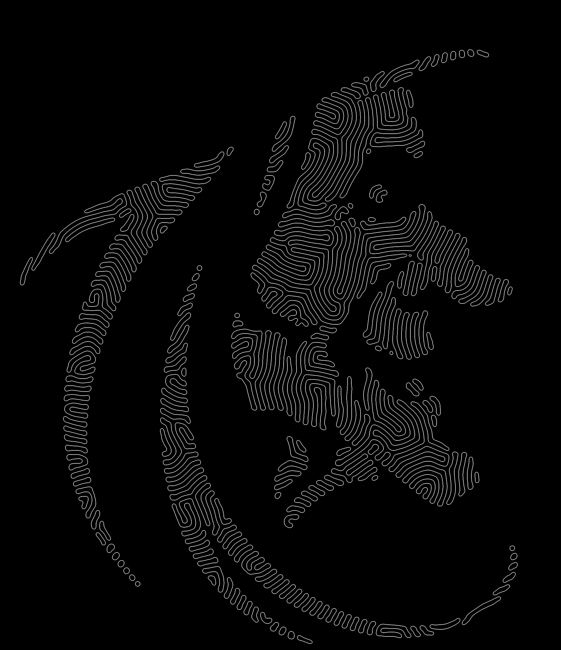 wicked_profile.png