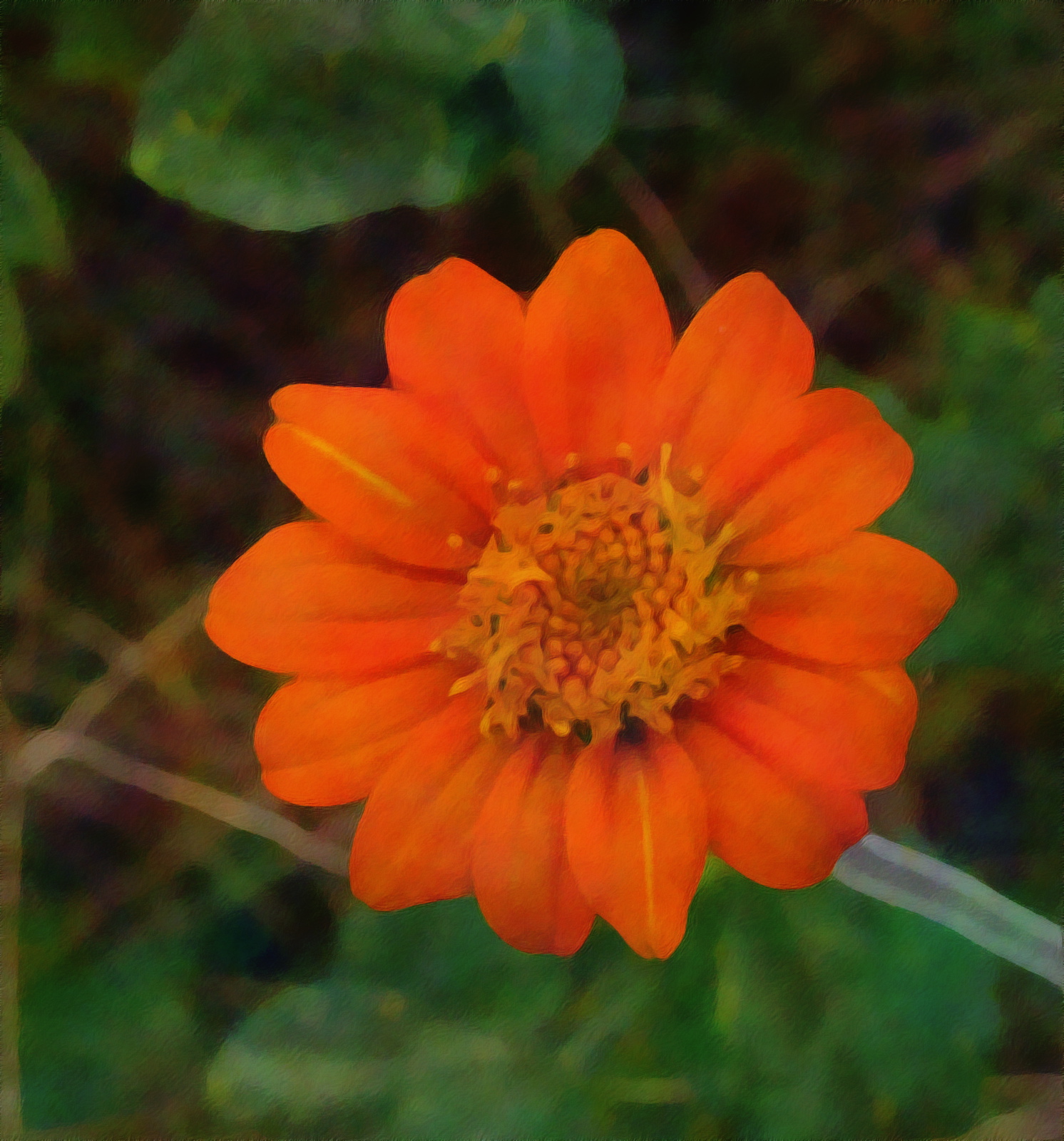 L1000145crp.jpg