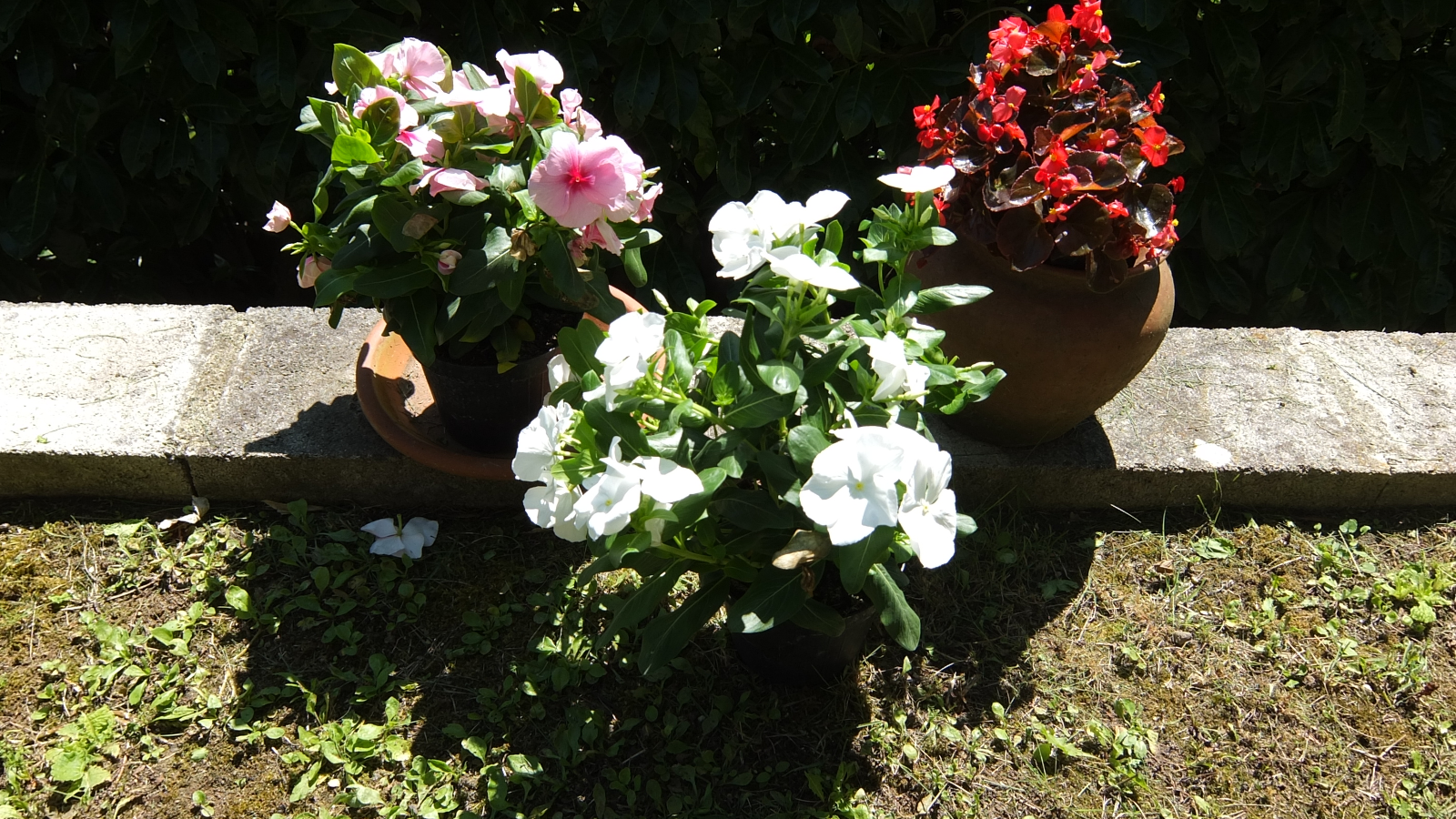 DSCF0760.png