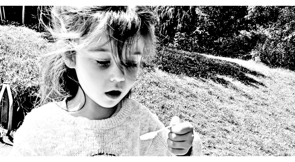 BlowingBubbles-Black.jpg