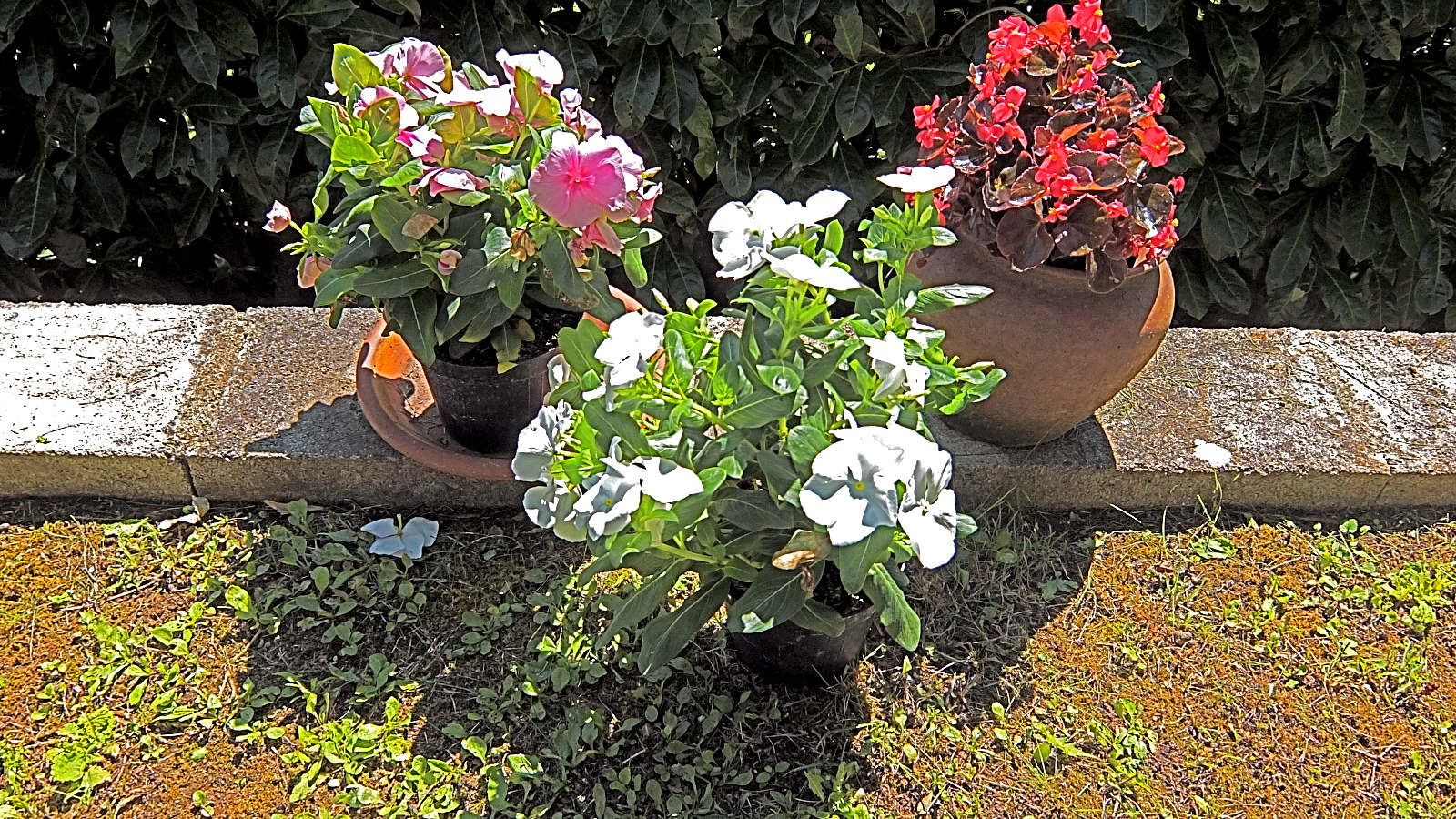 DSCF0760.jpg