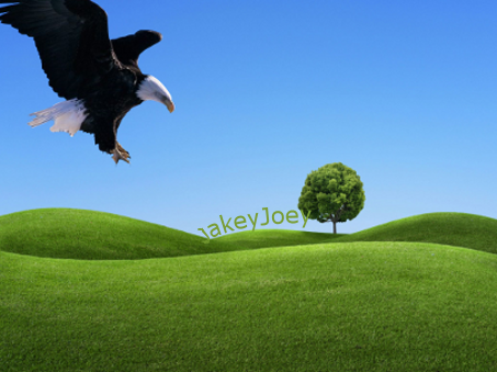 ForJakey.png