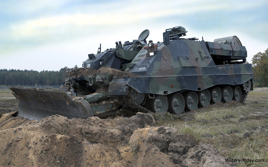kodiak_l1.jpg
