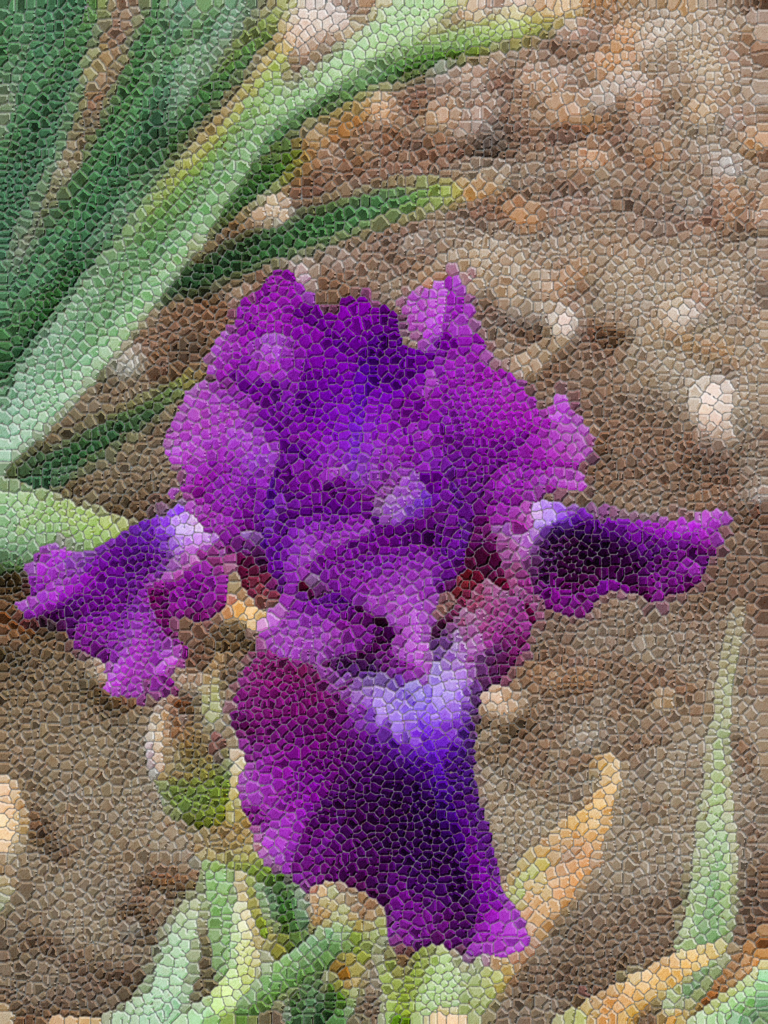 fp121806-03.jpg