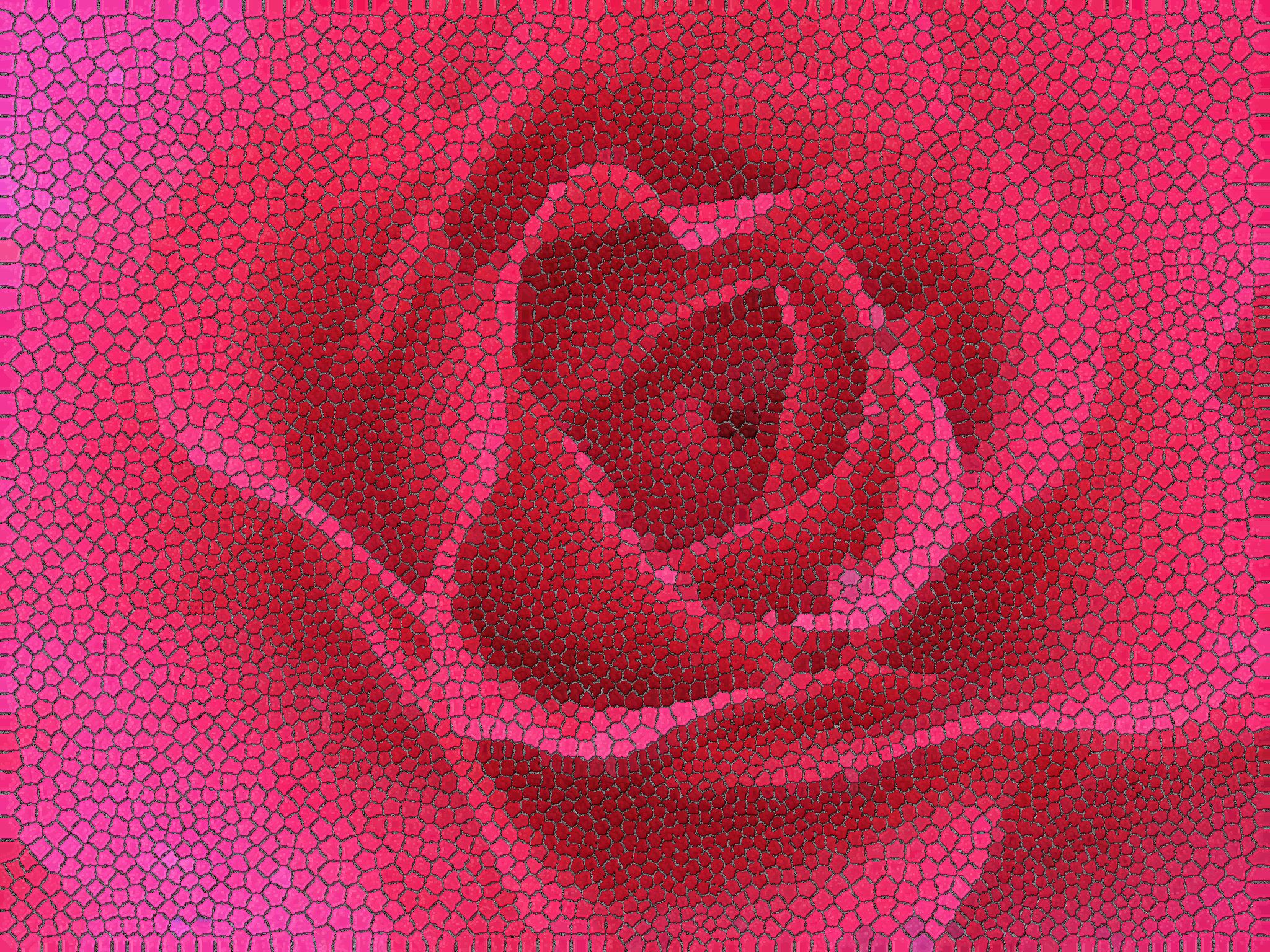 fp122406-03.jpg