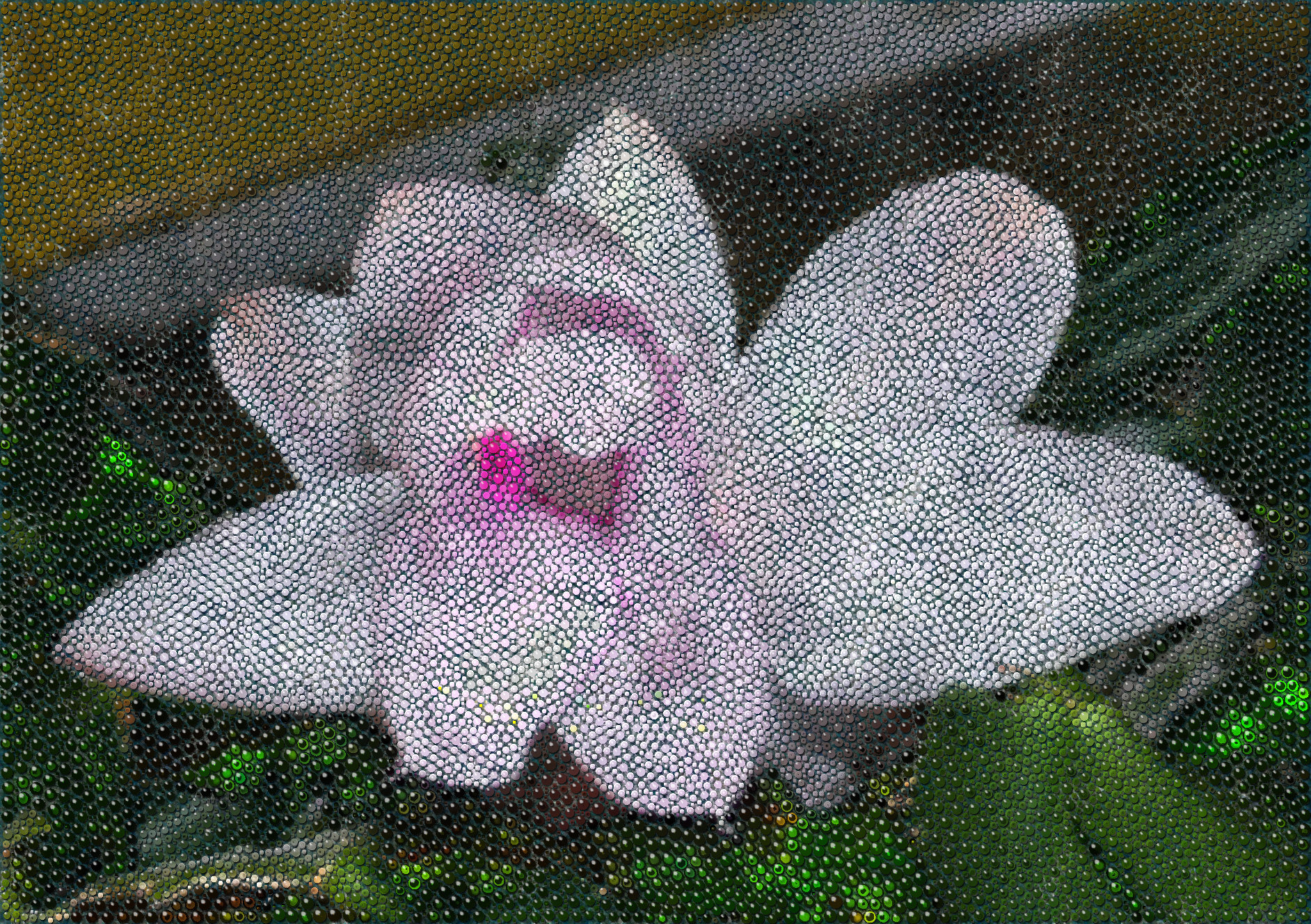 L1000147mbs.jpg