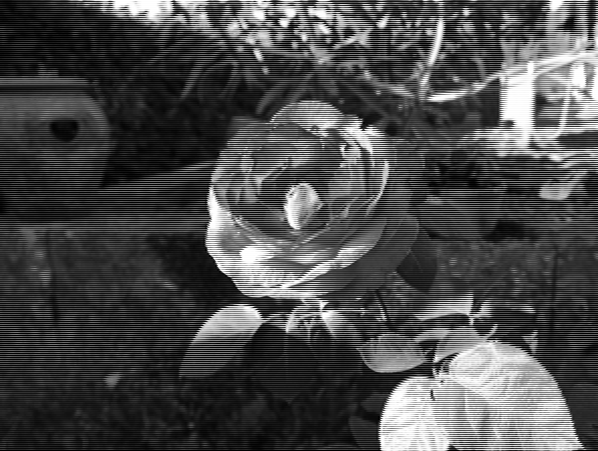 DSCF0731-crop_engraved-using-trunc.png