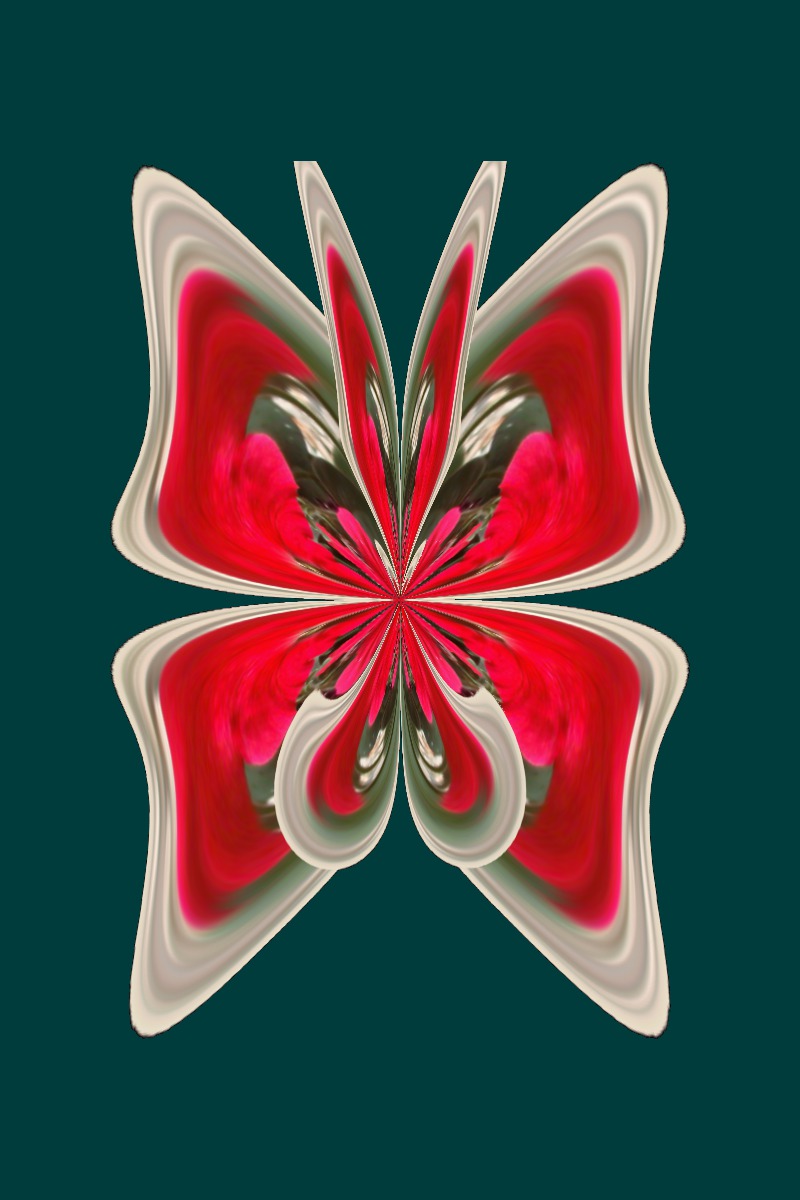 flowers1a_samjbutterfly_grbg.jpg