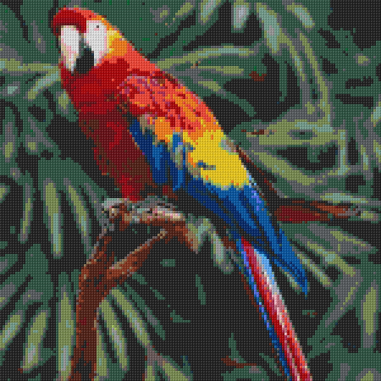 bird.jpg