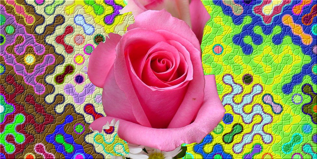flower&BG.jpg