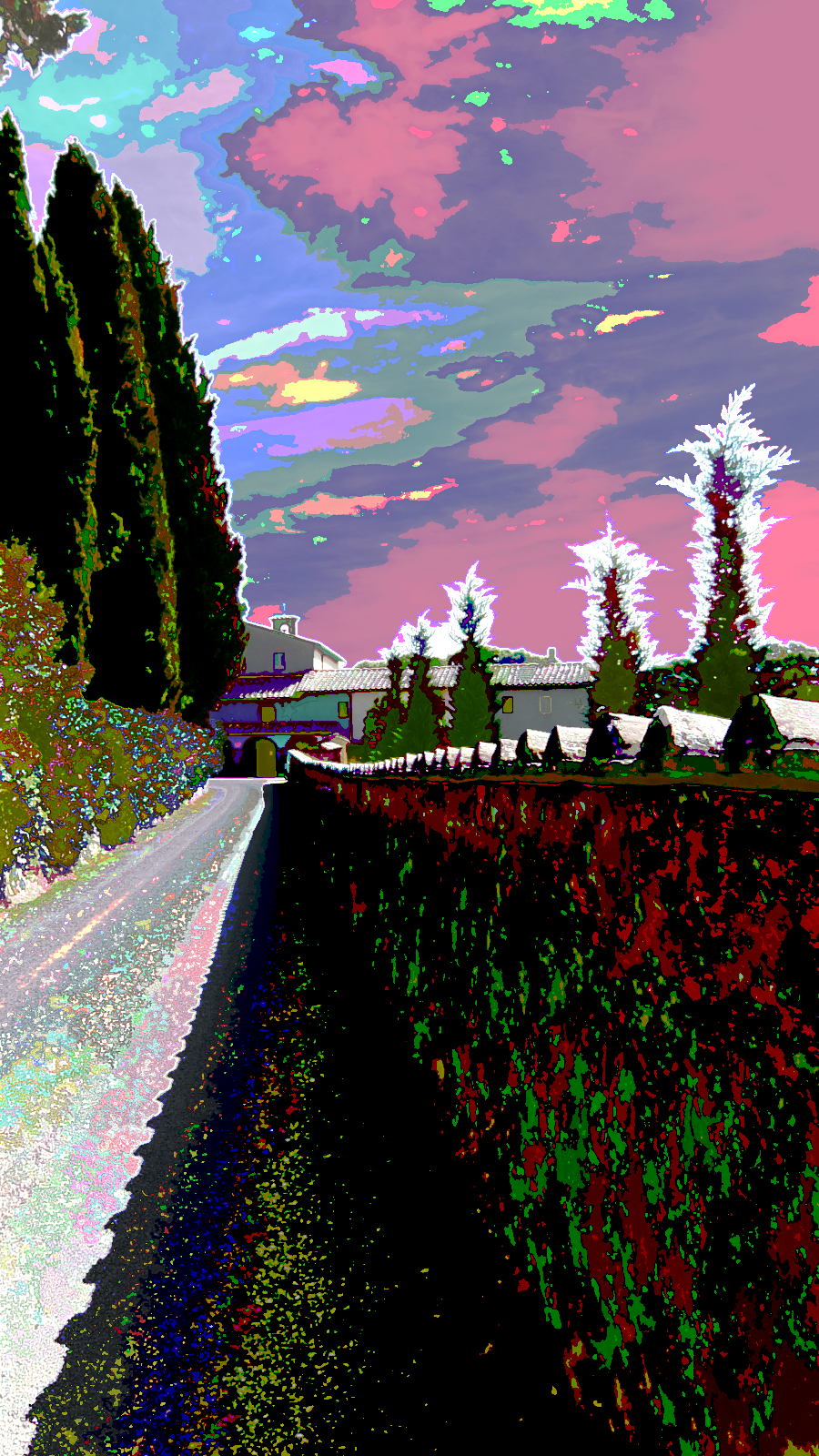 DSCF0987_2transf.png