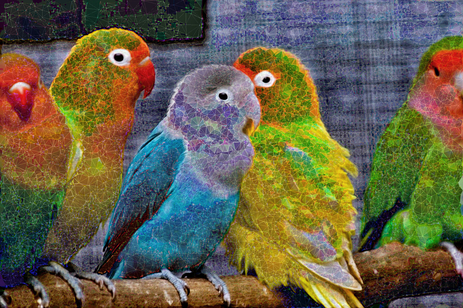 Beautiful-Birds-Abstraction-Delaunay.jpg