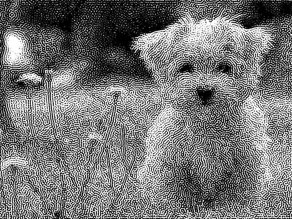 fondos-animales-hedcut-0.85.jpg