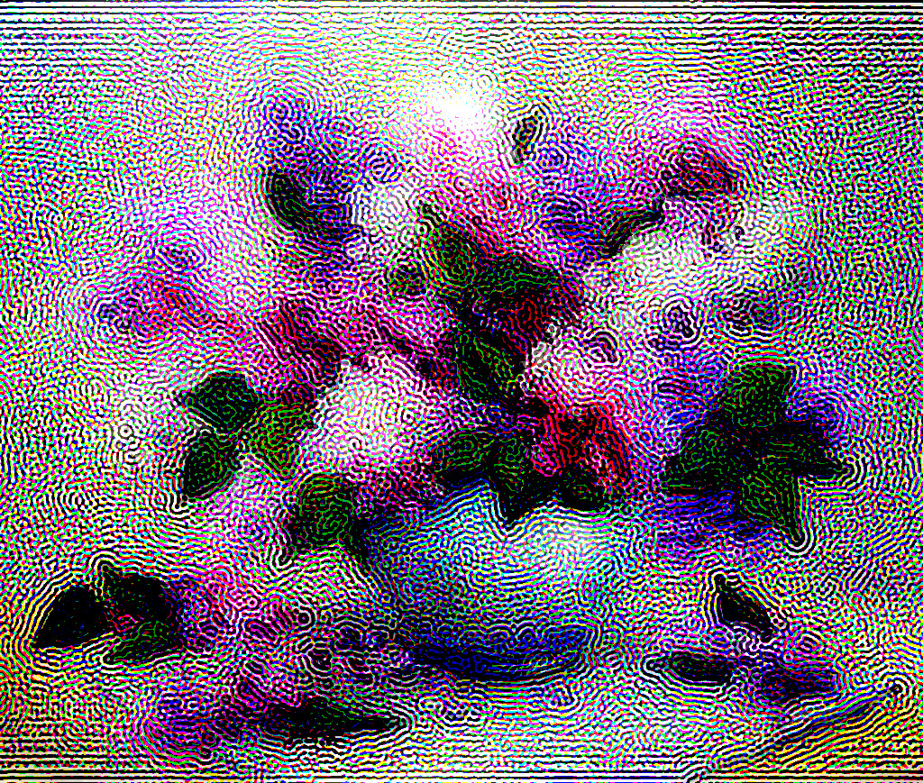 imagenes-de-jarrones-flores-3-blurbycolour-grainmerge.jpg
