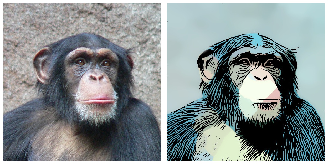 chimpanze_all.jpg